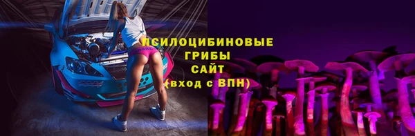 молекула духа Армянск