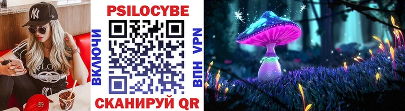 Псилоцибиновые грибы Psilocybine cubensis  что такое наркотик  Полярные Зори 